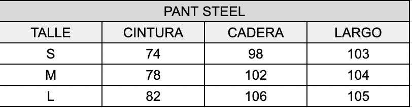 PANT STEEL